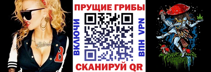 Галлюциногенные грибы прущие грибы ссылка на мегу Чадан
